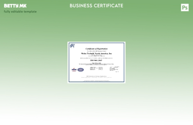 модерен стил САД ISO сертификат за регистрација Шаблон за Word и PDF